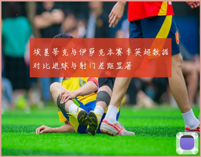 埃基蒂克与伊萨克本赛季英超数据对比进球与射门差距显著